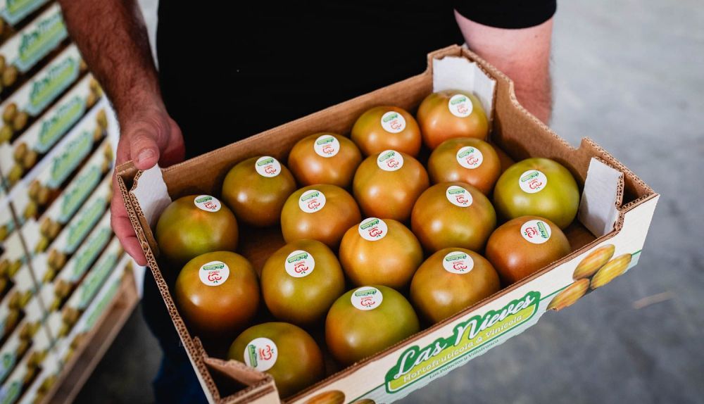 TOMATE LOS PALACIOS 7