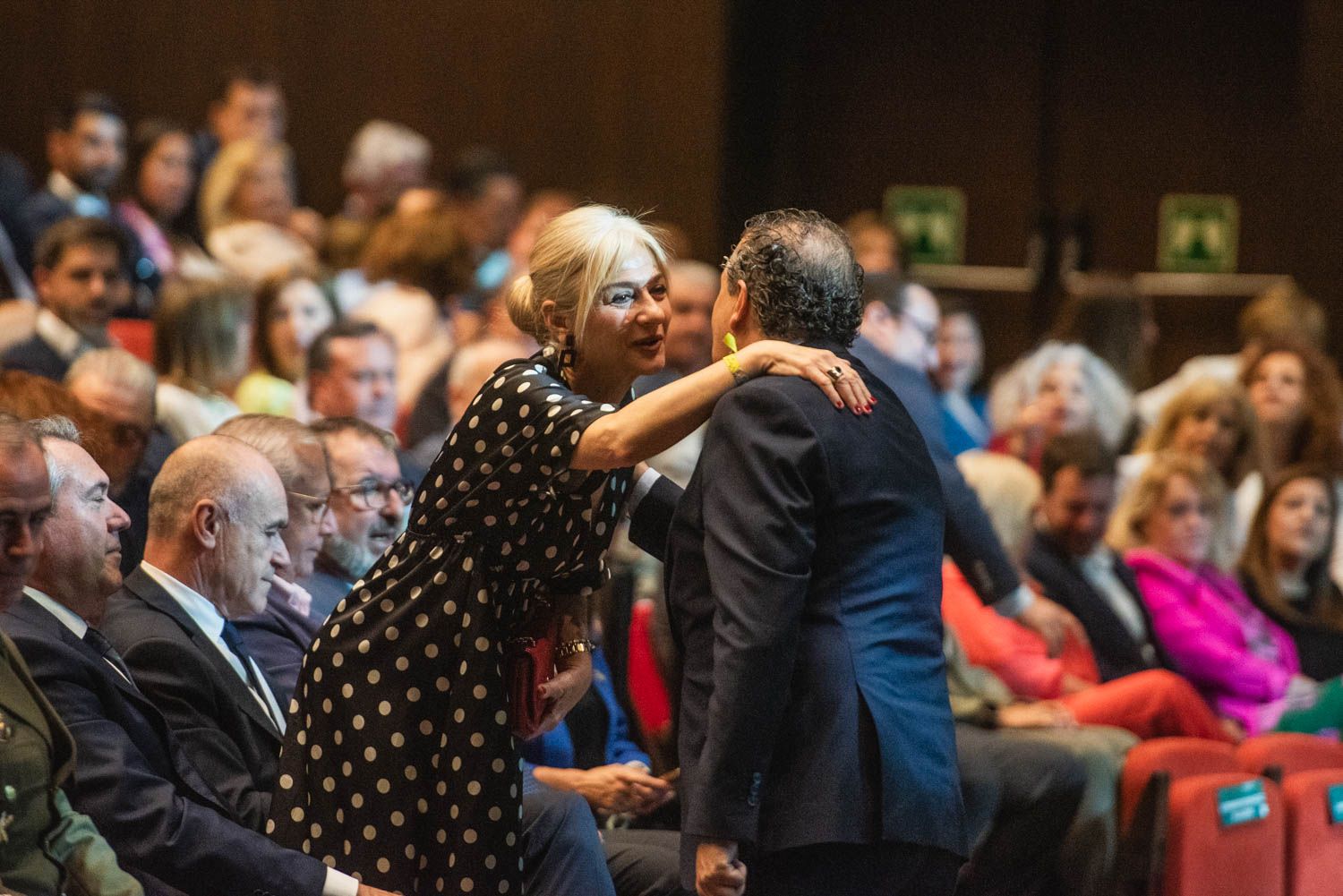 La gala del Día de la Provincia de Sevilla 2024, en imágenes.