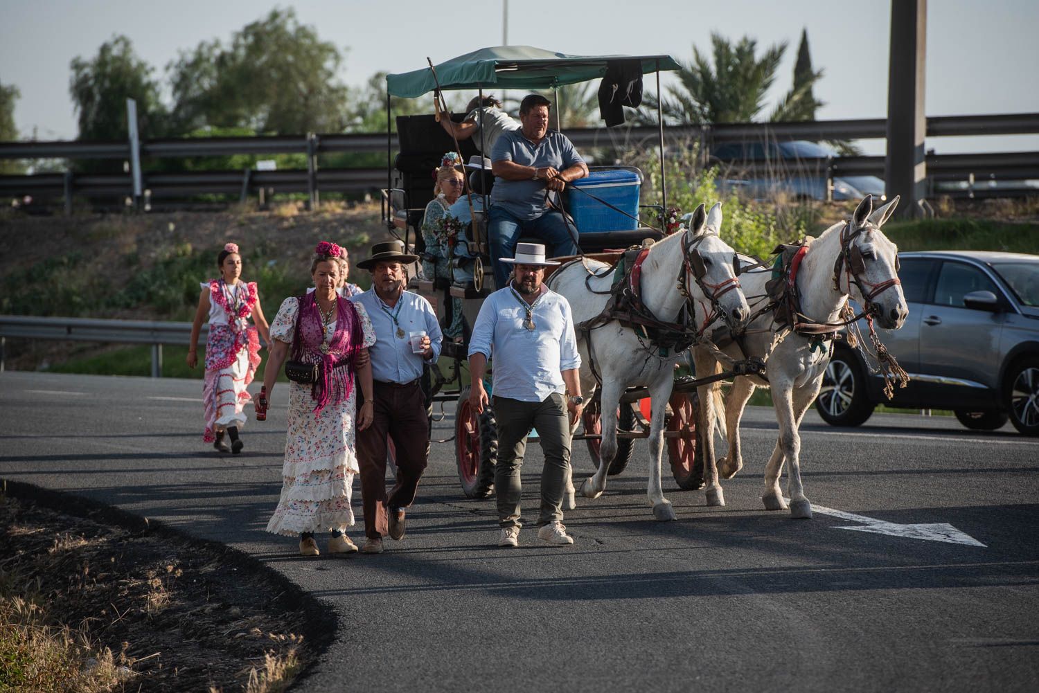 Llegada de la Hermandad del Rocío de Sevilla.
