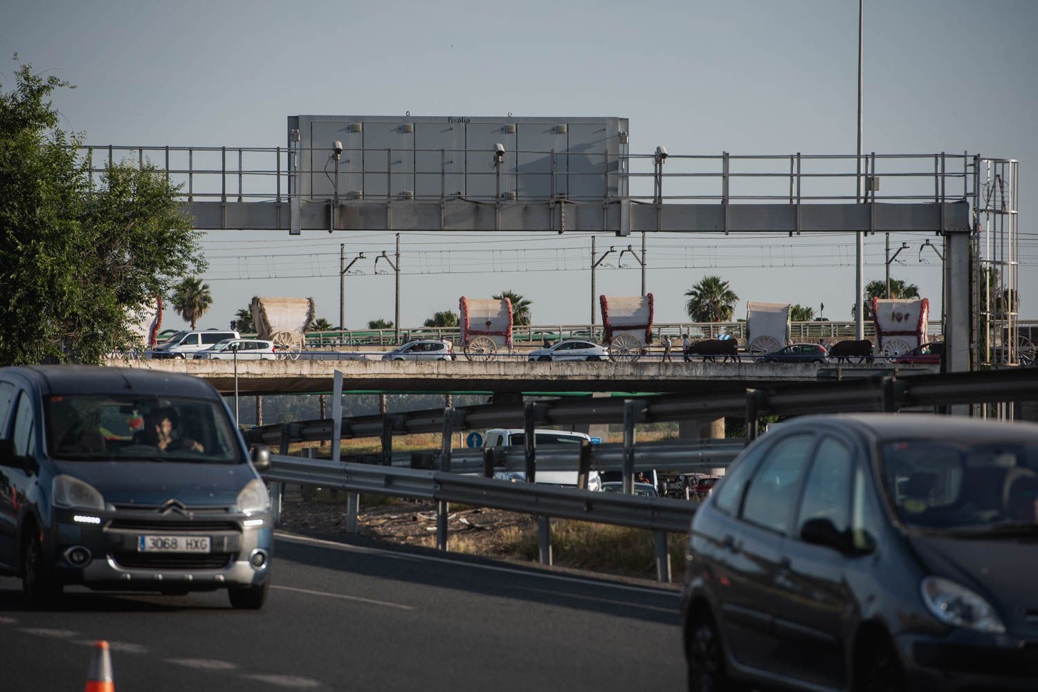 Llegada de la Hermandad del Rocío de Sevilla.
