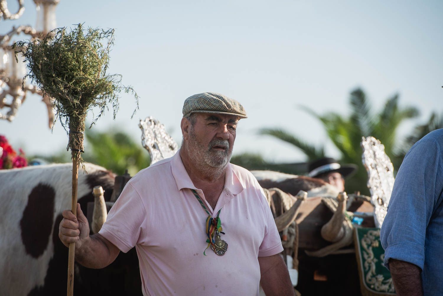 Llegada de la Hermandad del Rocío de Sevilla.