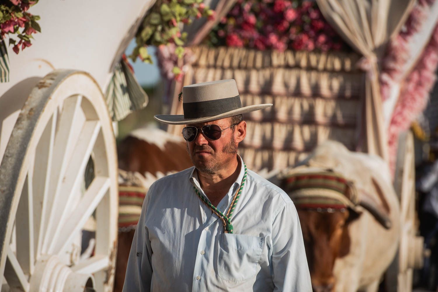 Llegada de la Hermandad del Rocío de Sevilla.