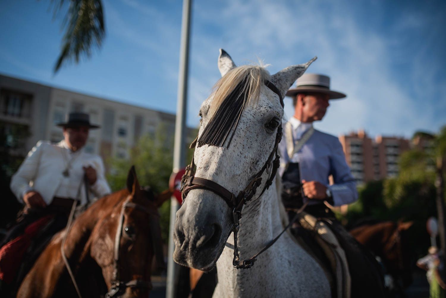 Llegada de la Hermandad del Rocío de Sevilla.