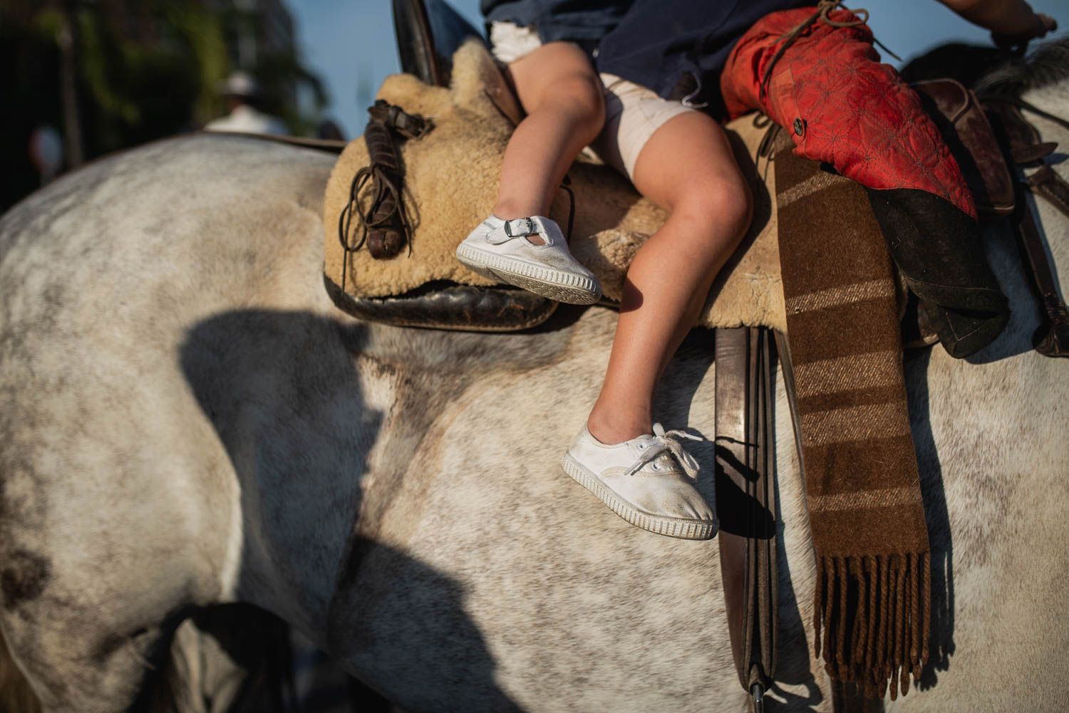 Llegada de la Hermandad del Rocío de Sevilla.