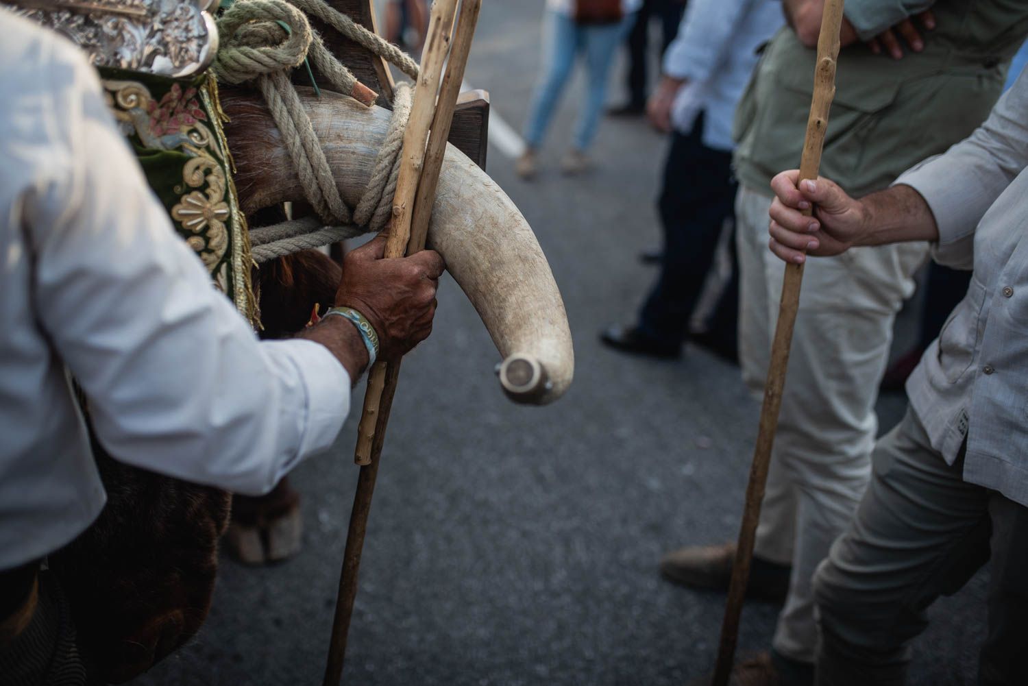 Llegada de la Hermandad del Rocío de Sevilla.