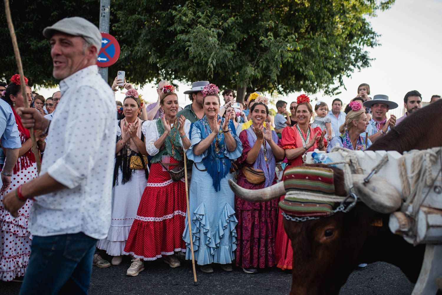 Llegada de la Hermandad del Rocío de Sevilla.