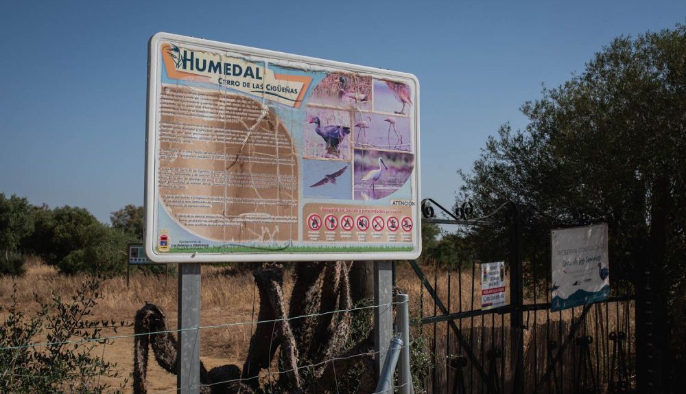 HUMEDALES LOS PALACIOS CERRO DE LAS CIGÜEÑAS