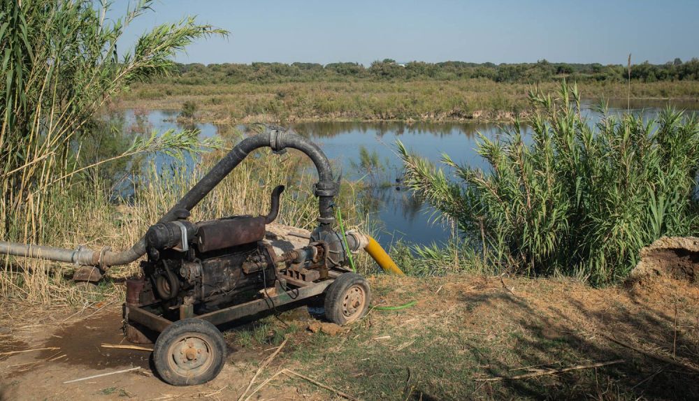 HUMEDALES LOS PALACIOS LAGUNA LA MEJORADA