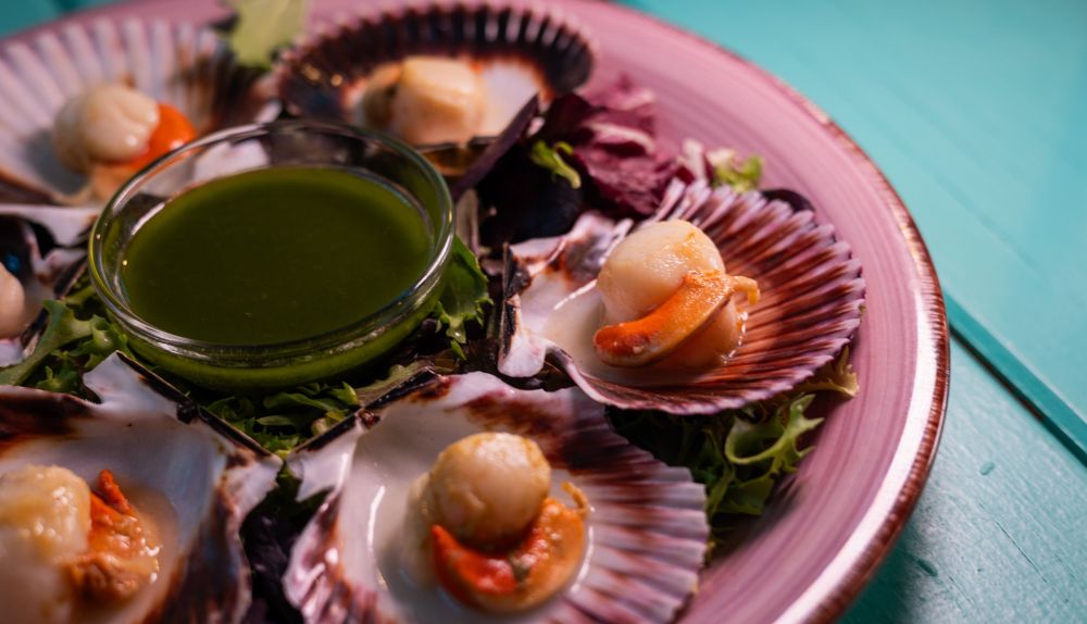 Zamburiñas MOLA MOLA OCEANSIDE