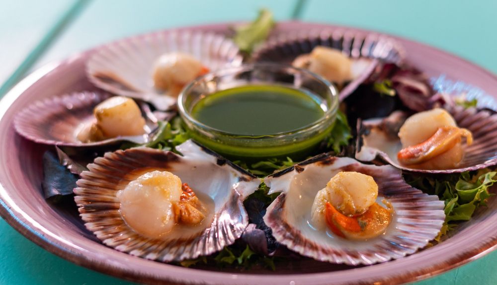 Plato de zamburiñas en Molamola Oceanside.