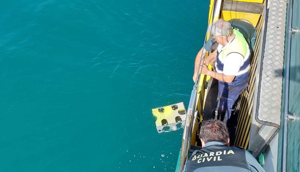 WhatsApp Image 2024 05 31 at 12.01.18 (1)