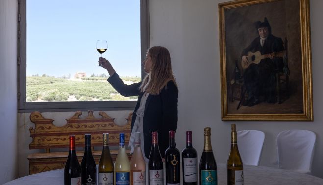 Buena parte de la gama de la bodega Miguel Domecq, en Torrecera. 