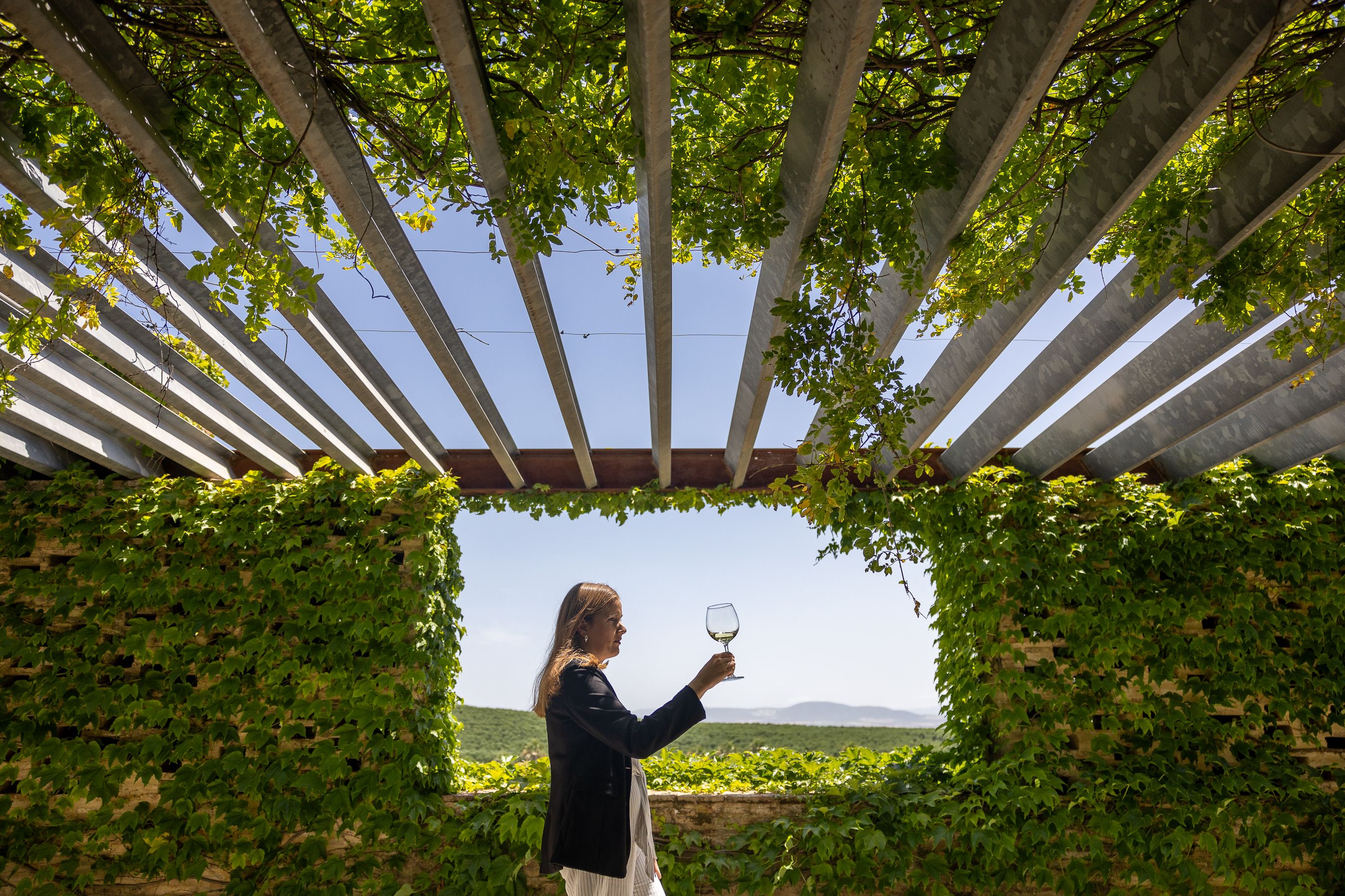 Bodegas Entrechuelos, en Torrecera, parada obligada en la ruta del vino y el brandy de Jerez.