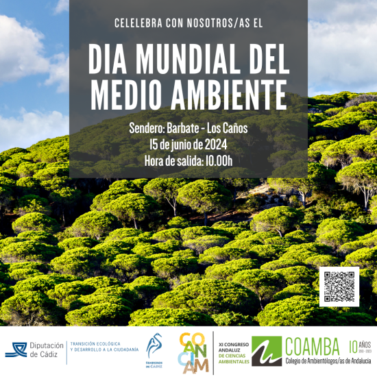 Cartel día mundial del medio ambiente