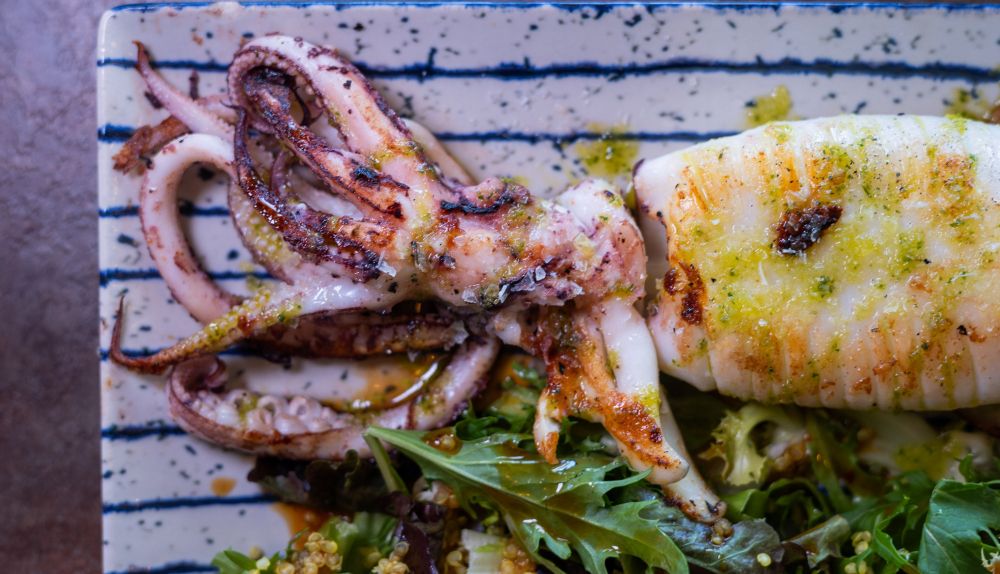 Calamar en Marimanta Beach de Rota.