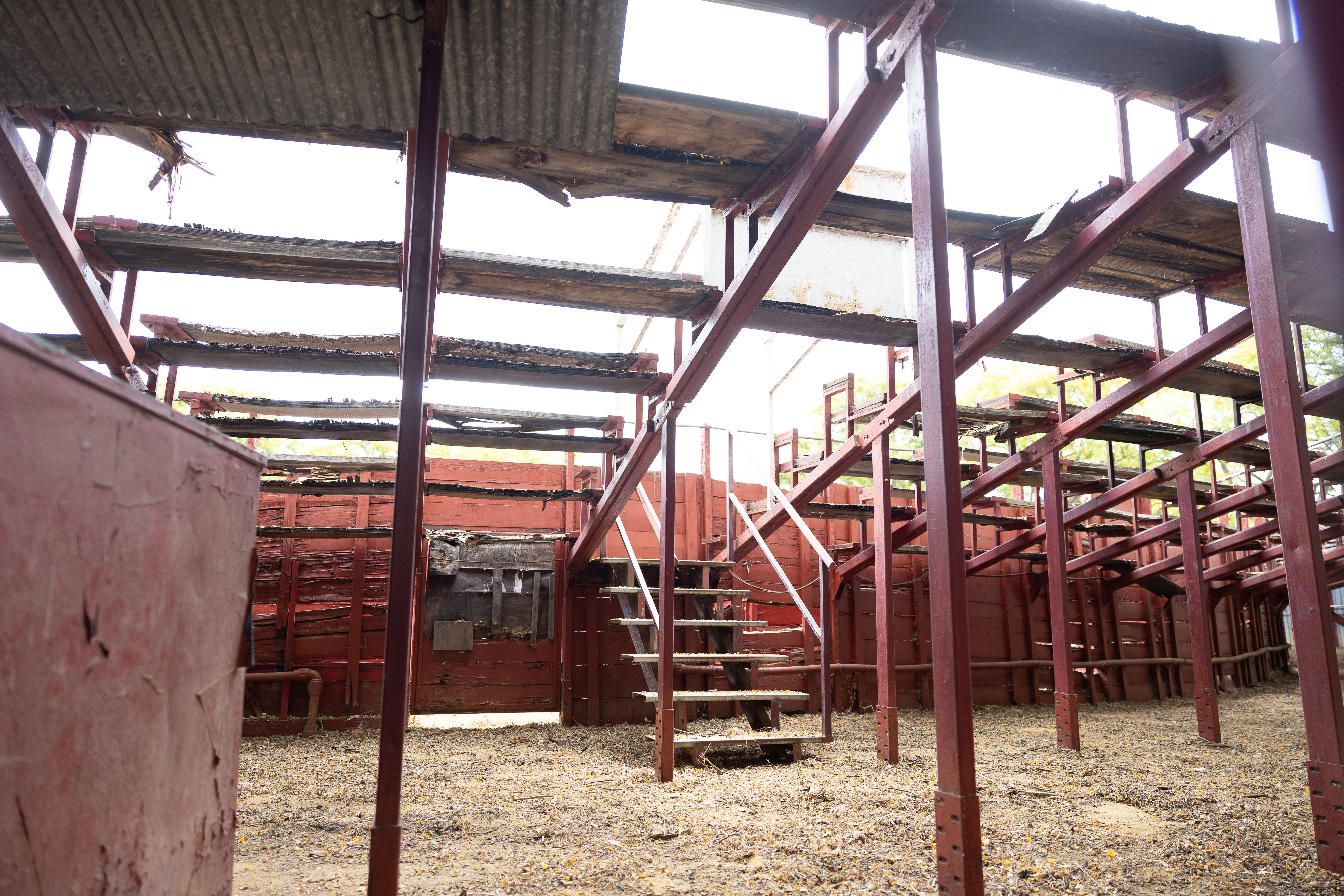 escuela municipal de tauromaquia