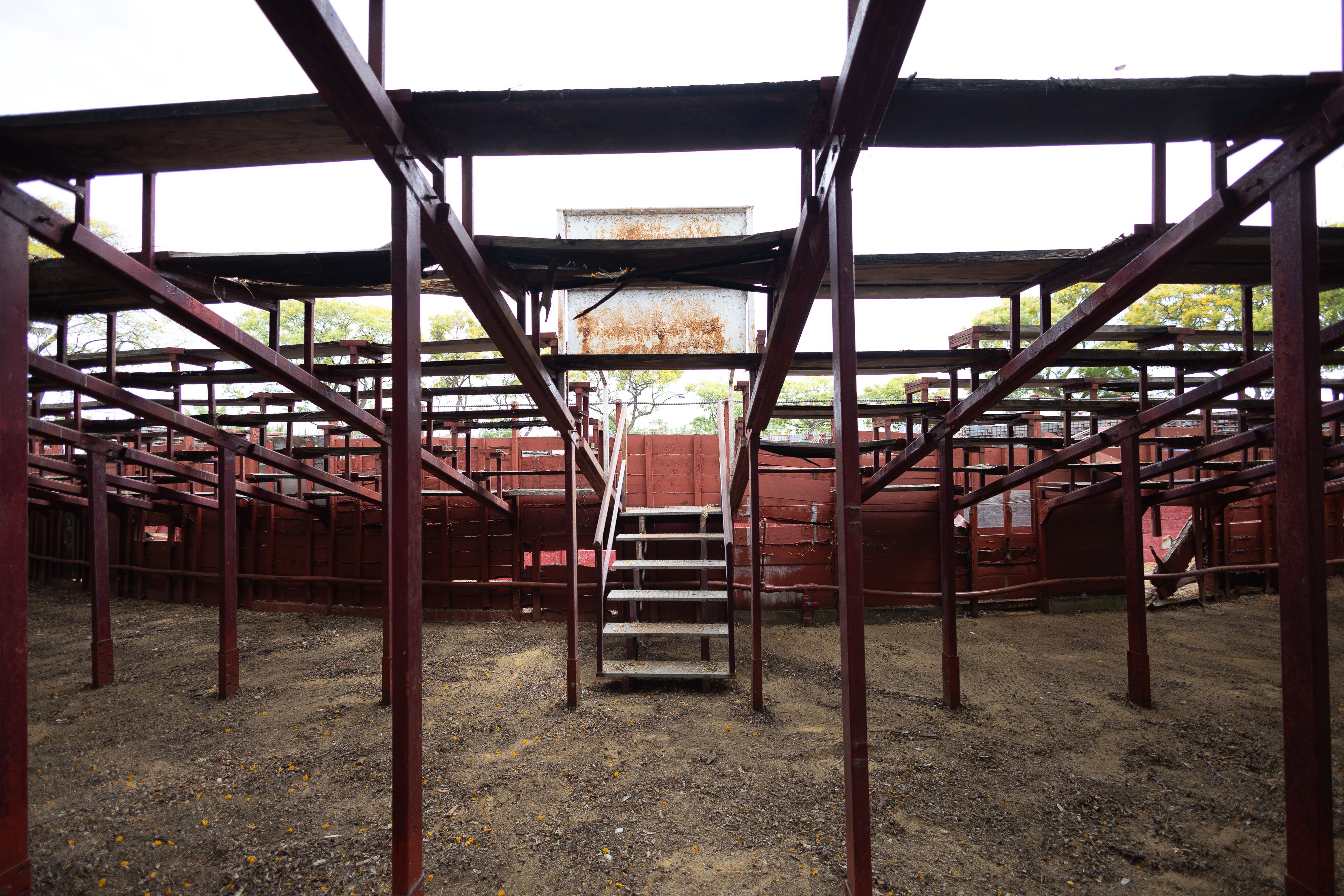 escuela municipal de tauromaquia