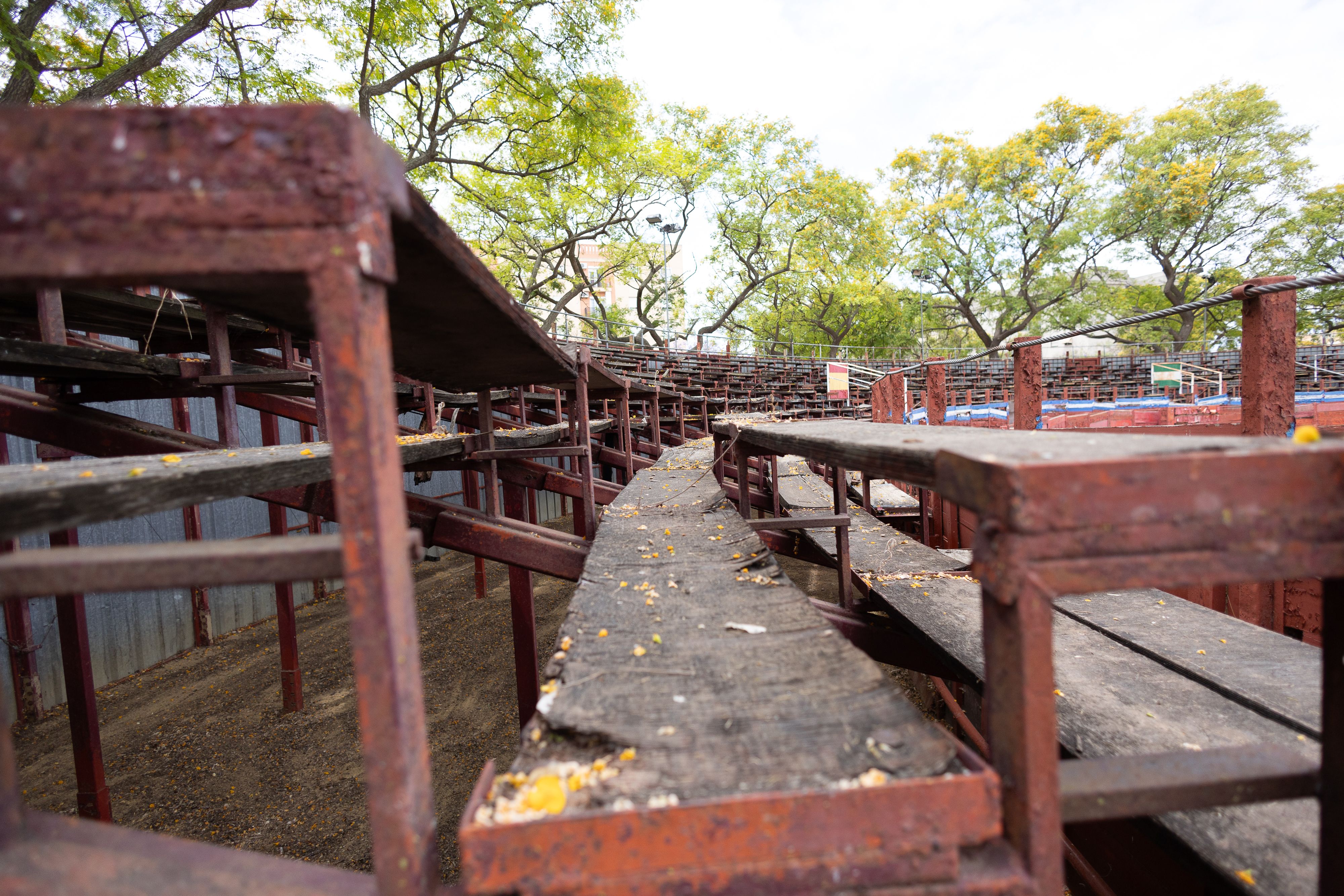 escuela municipal de tauromaquia