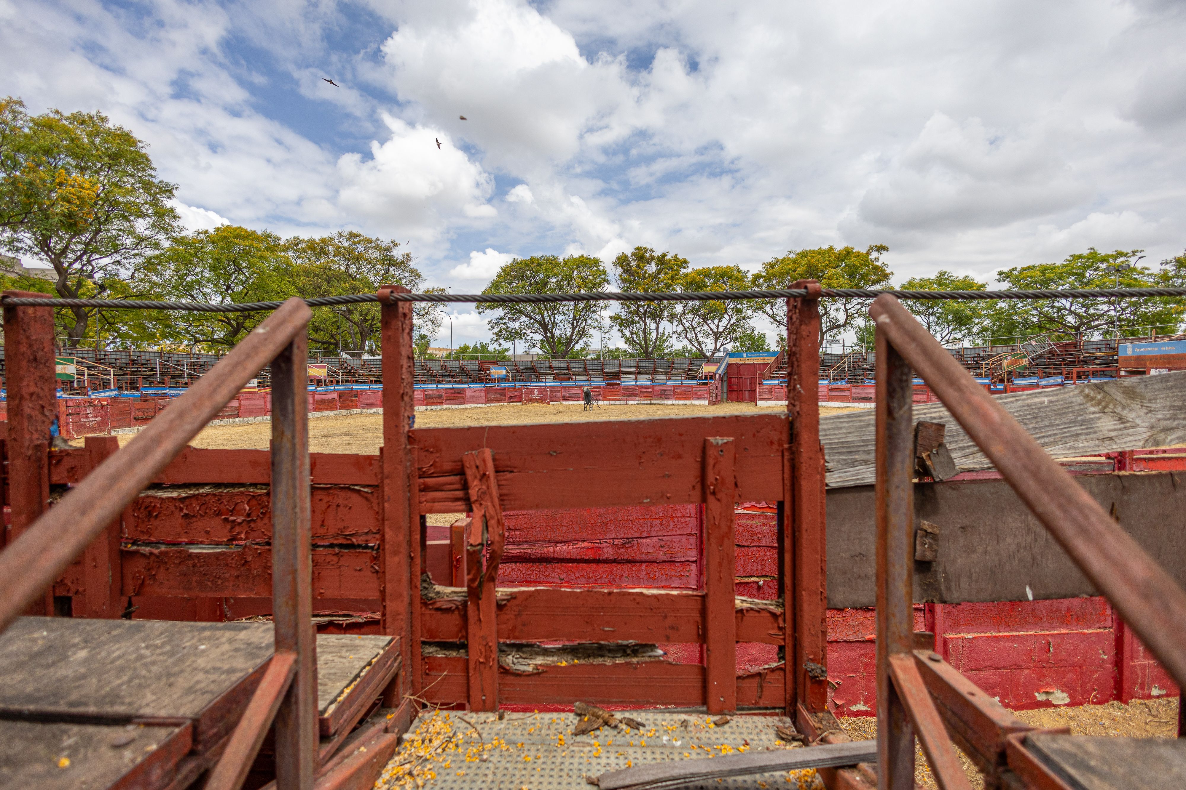escuela municipal de tauromaquia
