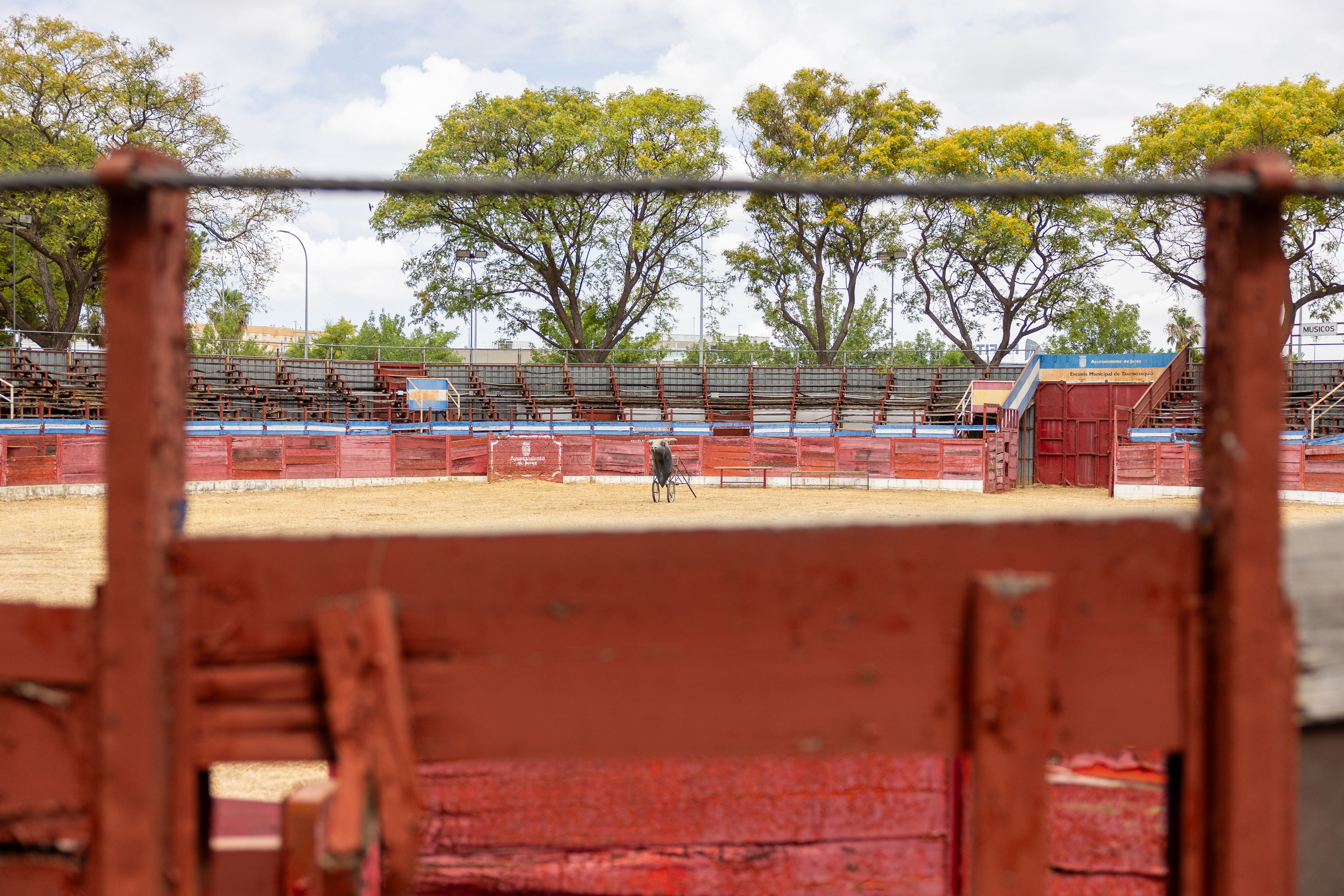 escuela municipal de tauromaquia