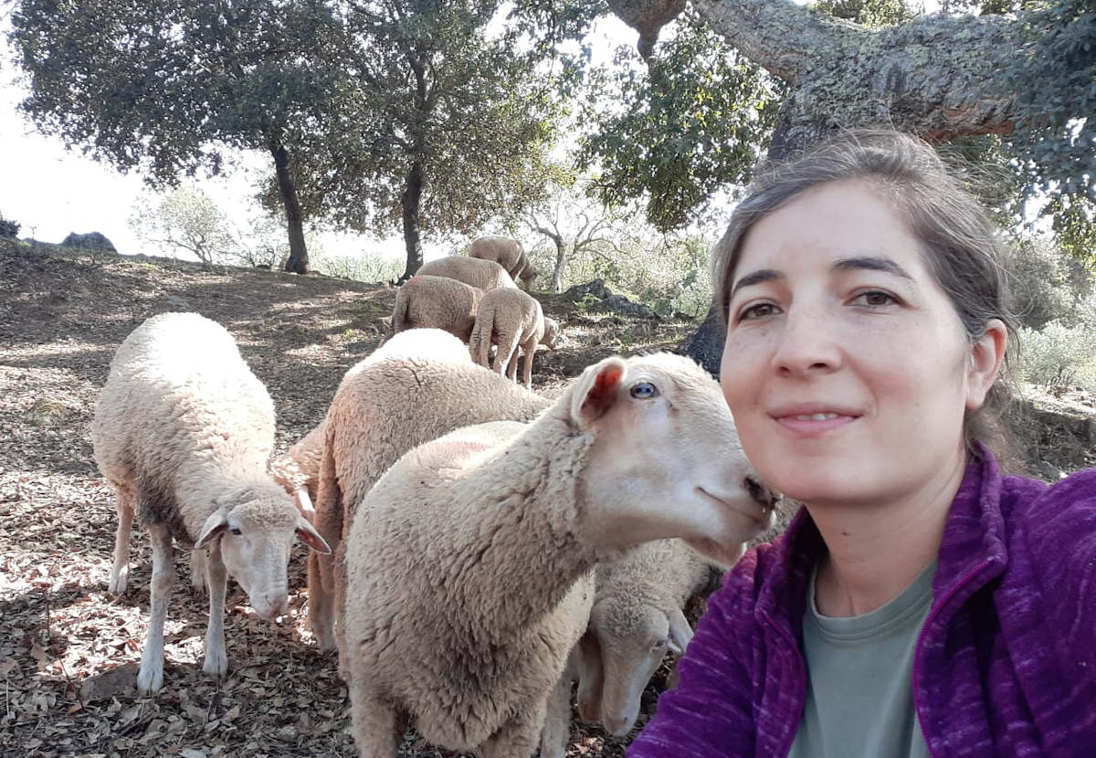 Marta Cornello con sus ovejas en la Sierra Norte de Sevilla.