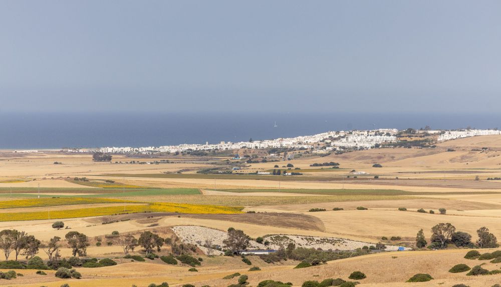 Cárnicas alcázar  10