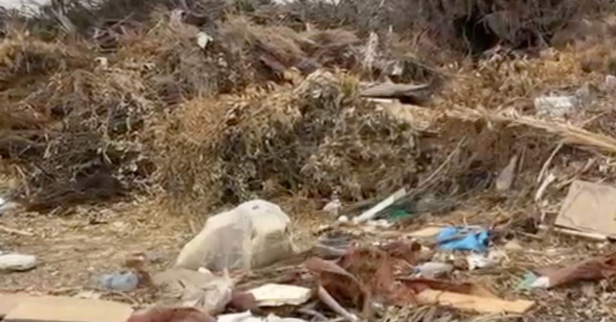Restos de podas y basura entre Jerez y Guadalcacín.