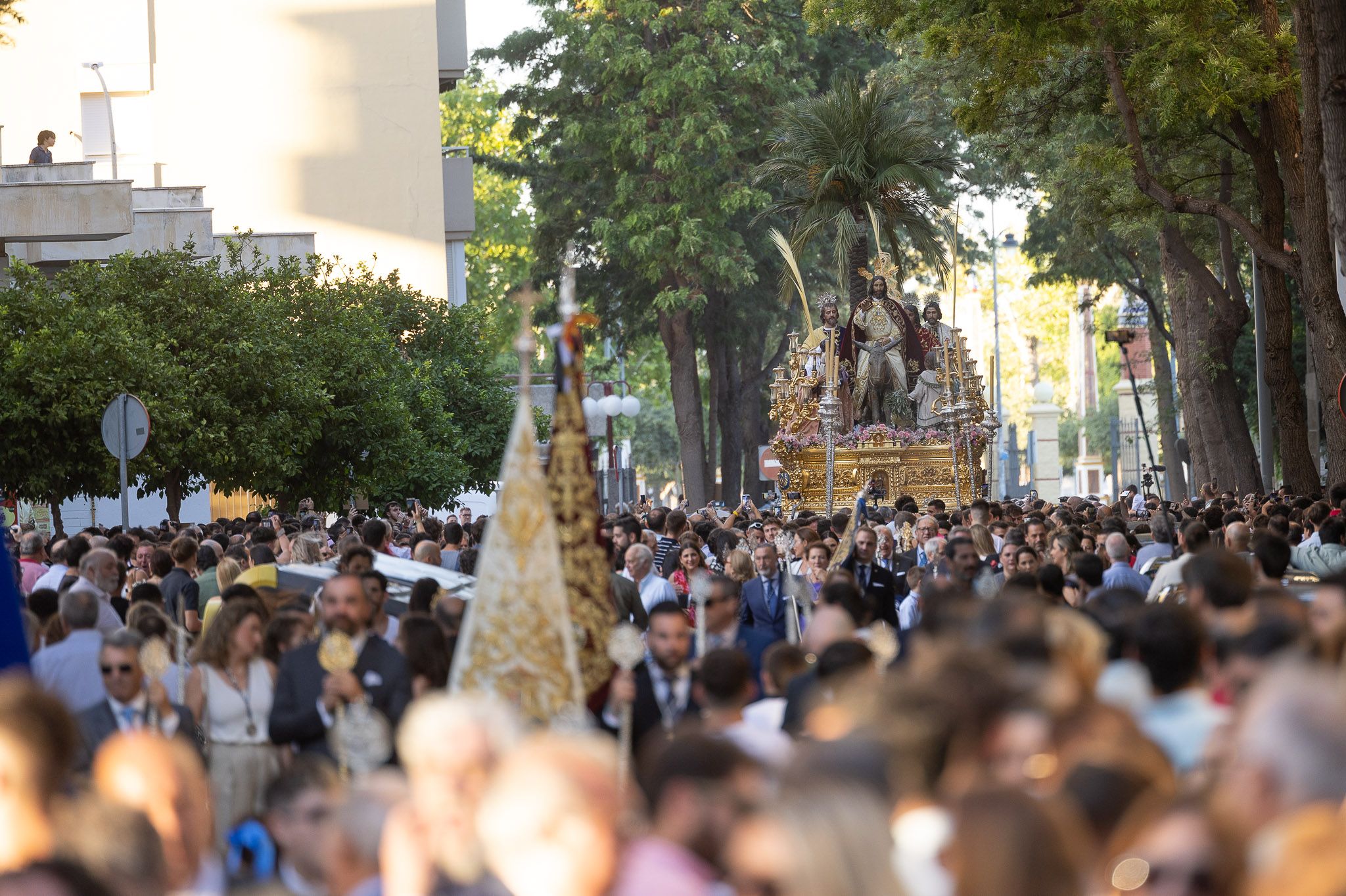 Procesión Extraordinaria de La Borriquita en Jerez 