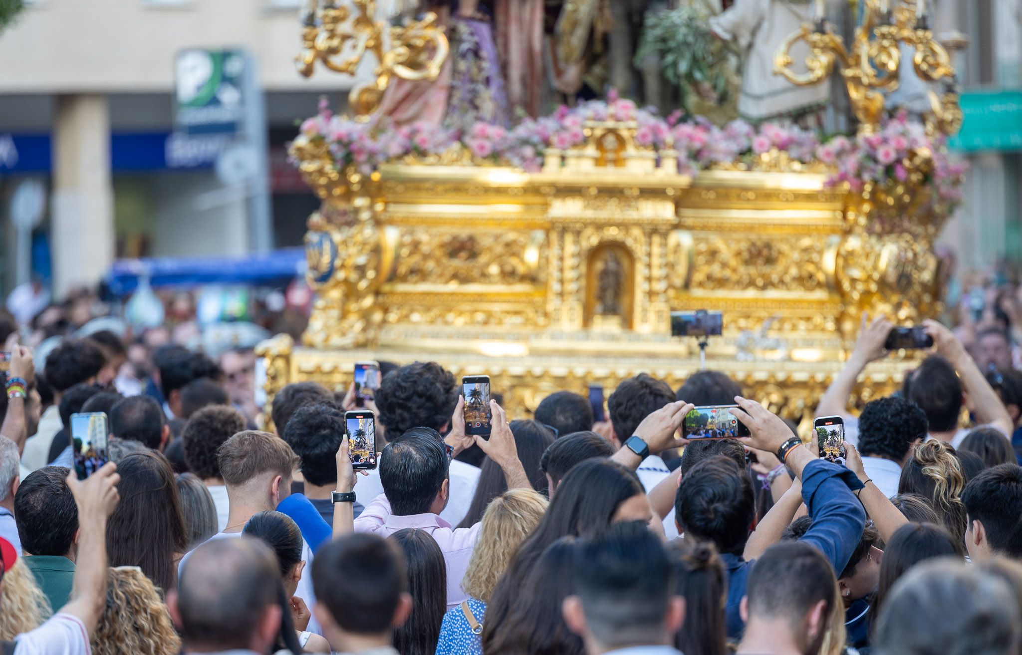 Procesión Extraordinaria de La Borriquita en Jerez 