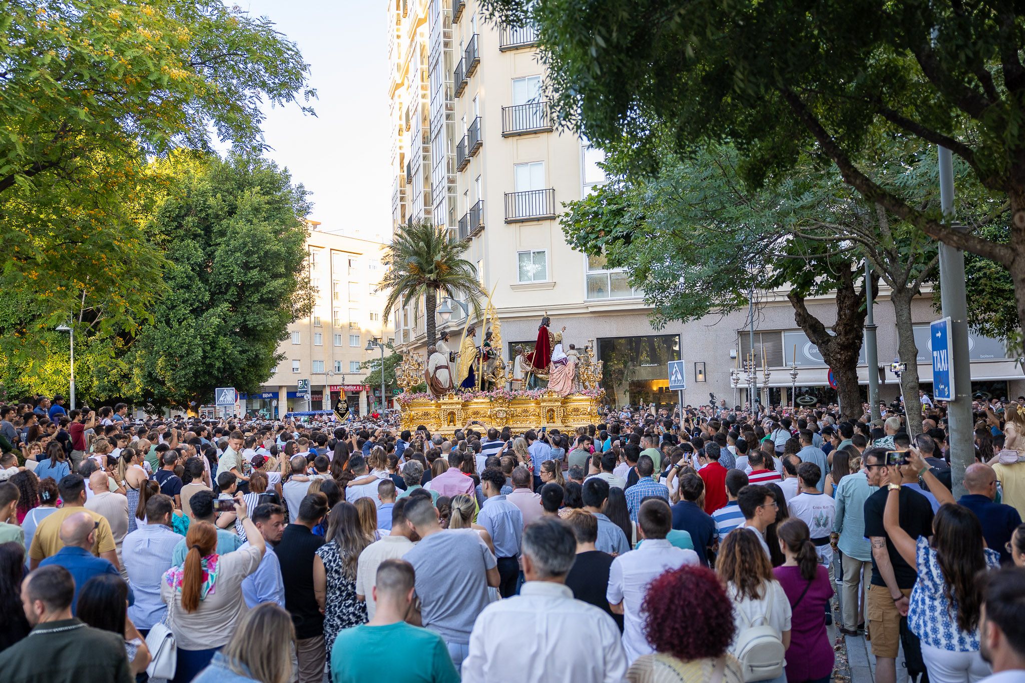 Procesión Extraordinaria de La Borriquita en Jerez 