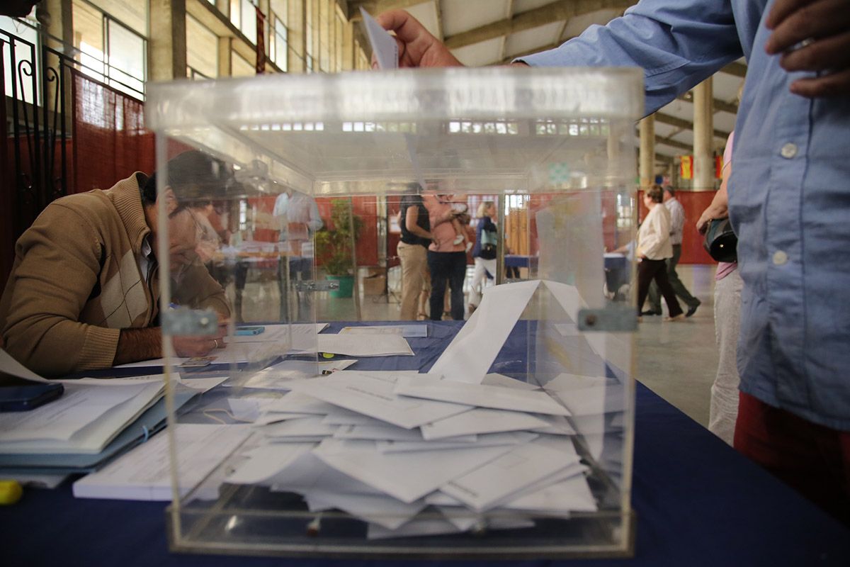 elecciones municipales 2015