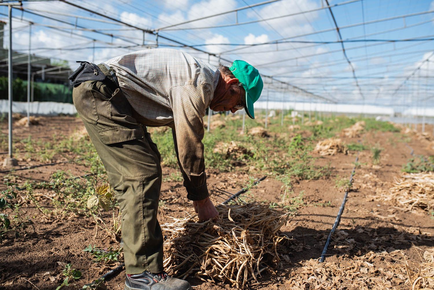 Un agricultor en Andalucía.