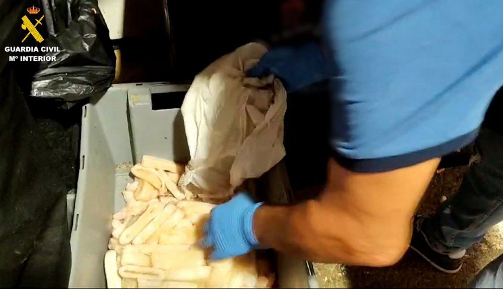 photo 6039725046659923980 y