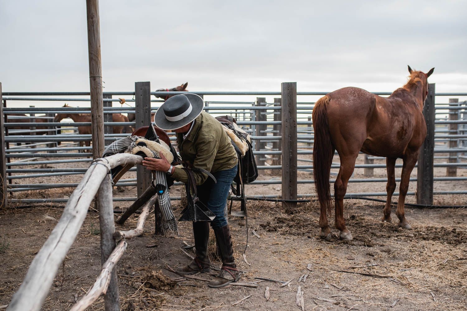 La saca de las yeguas, de Doñana a El Rocío, en imágenes.
