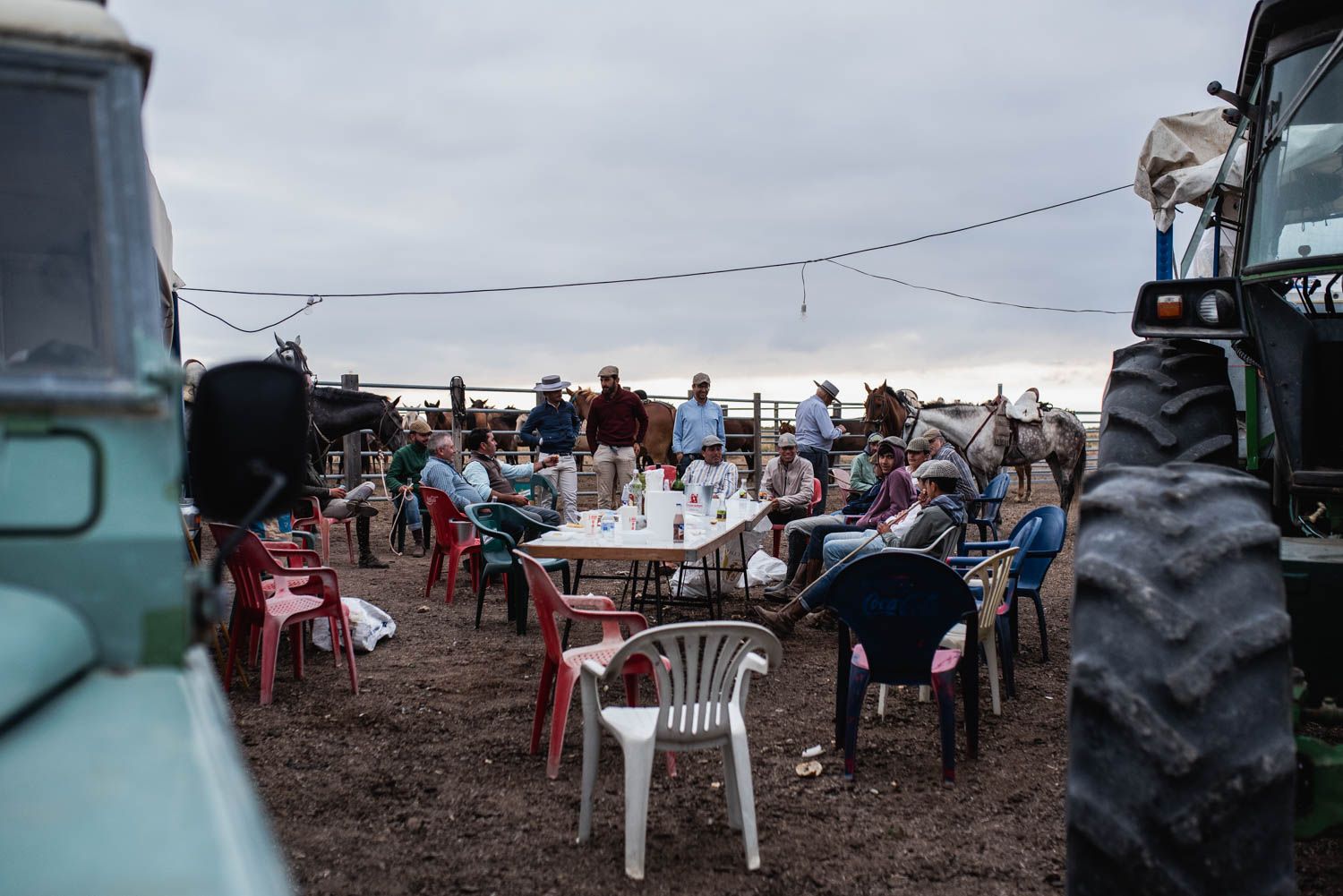 SACA DE LAS YEGUAS 2024 3