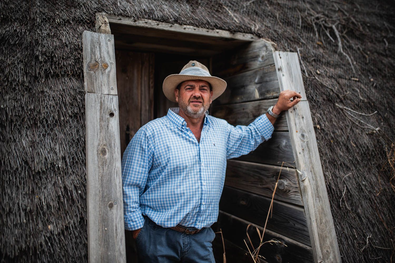 SACA DE LAS YEGUAS 2024 6