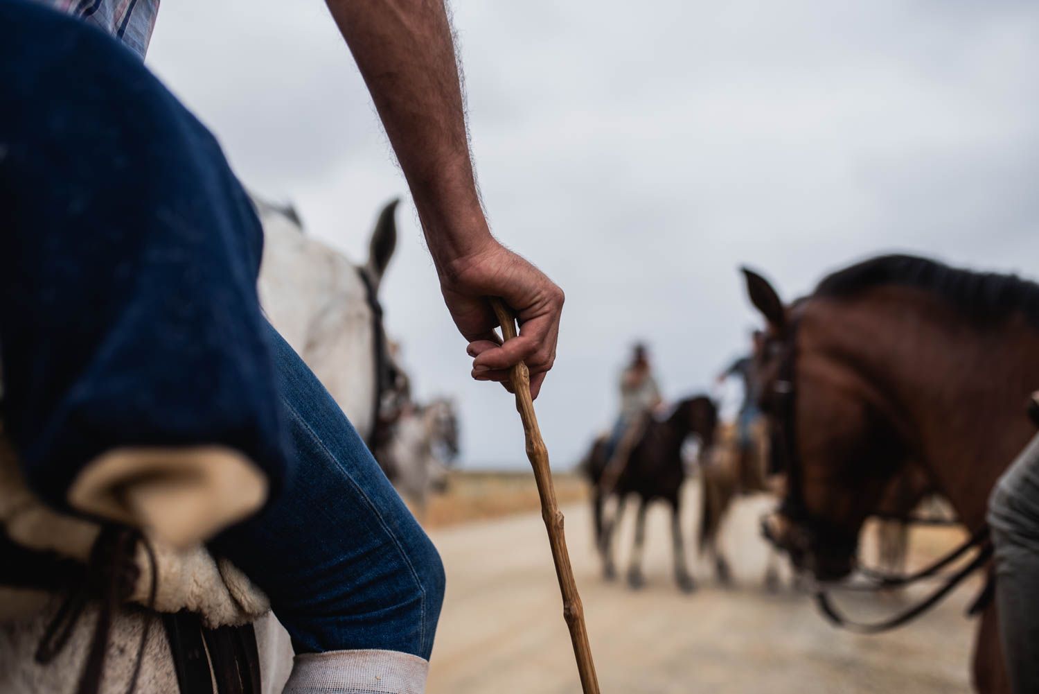 La saca de las yeguas, de Doñana a El Rocío, en imágenes.