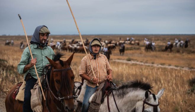 SACA DE LAS YEGUAS 2024 17