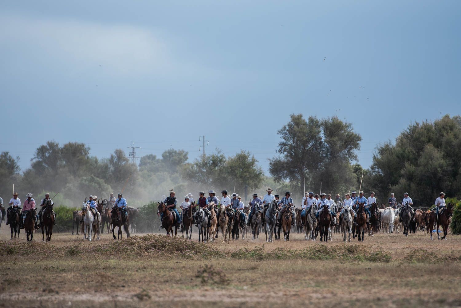 La saca de las yeguas, de Doñana a El Rocío, en imágenes.