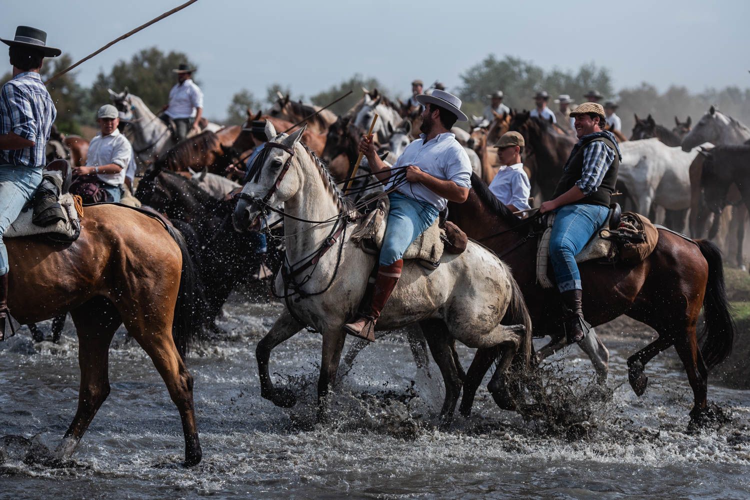 La saca de las yeguas, de Doñana a El Rocío, en imágenes.