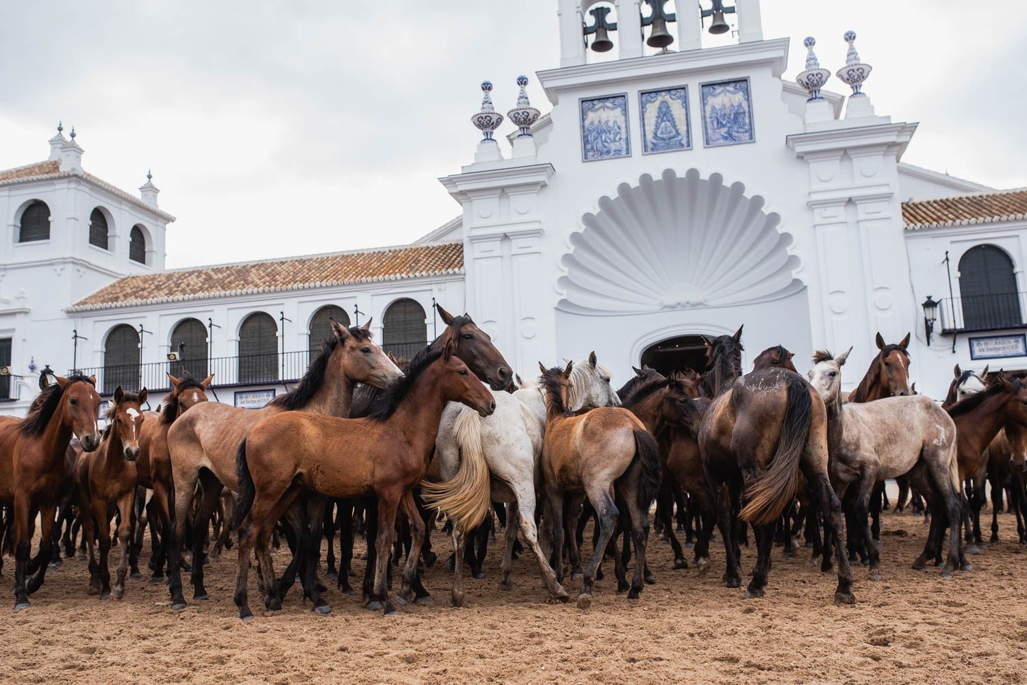 La saca de las yeguas, de Doñana a El Rocío, en imágenes.