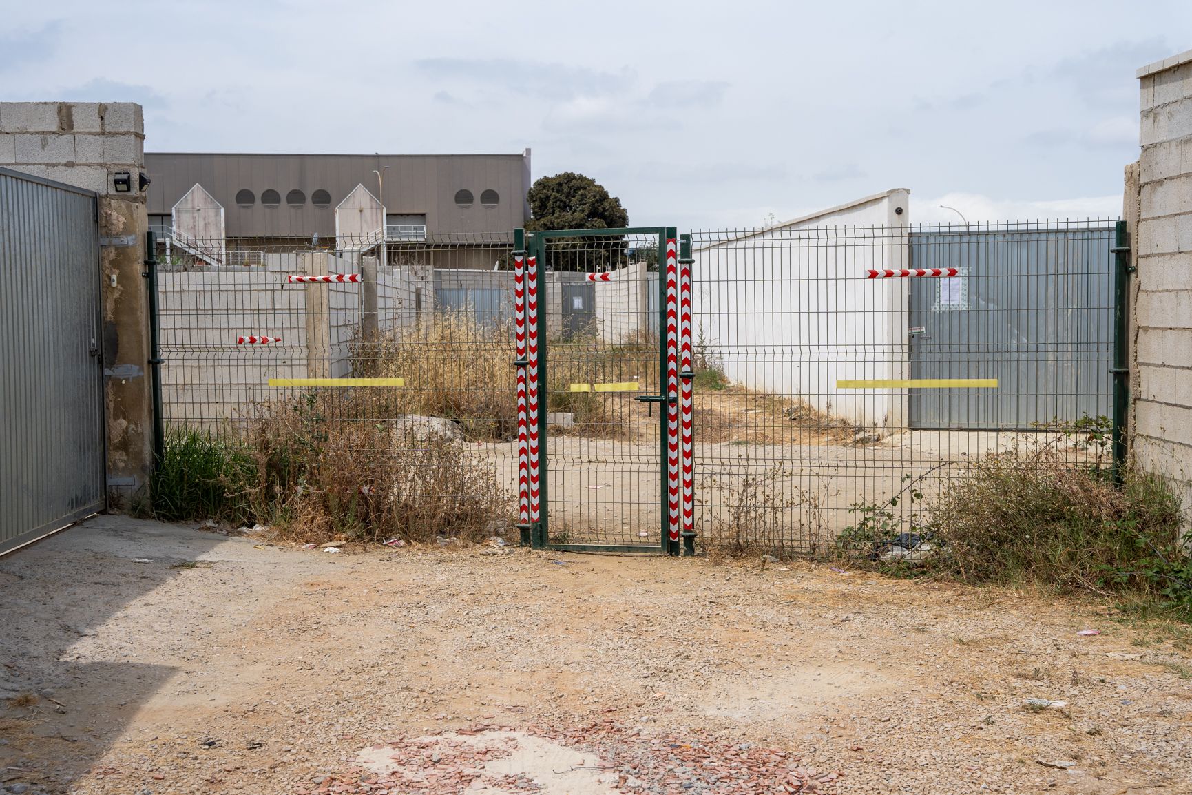 Macrourbanización ilegal en La Línea de la Concepción Viña Clemente 2