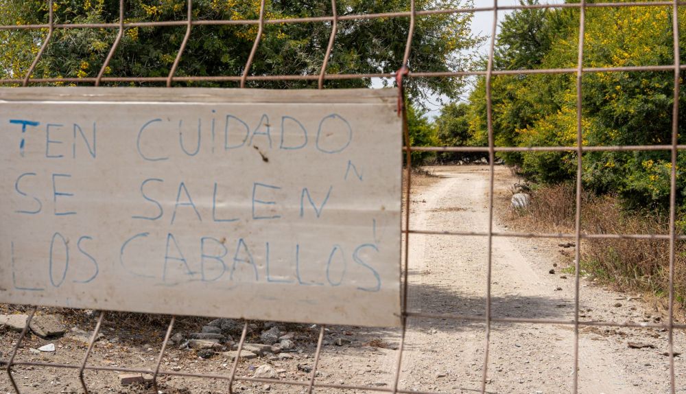 Macrourbanización ilegal en La Línea de la Concepción Viña Clemente 17