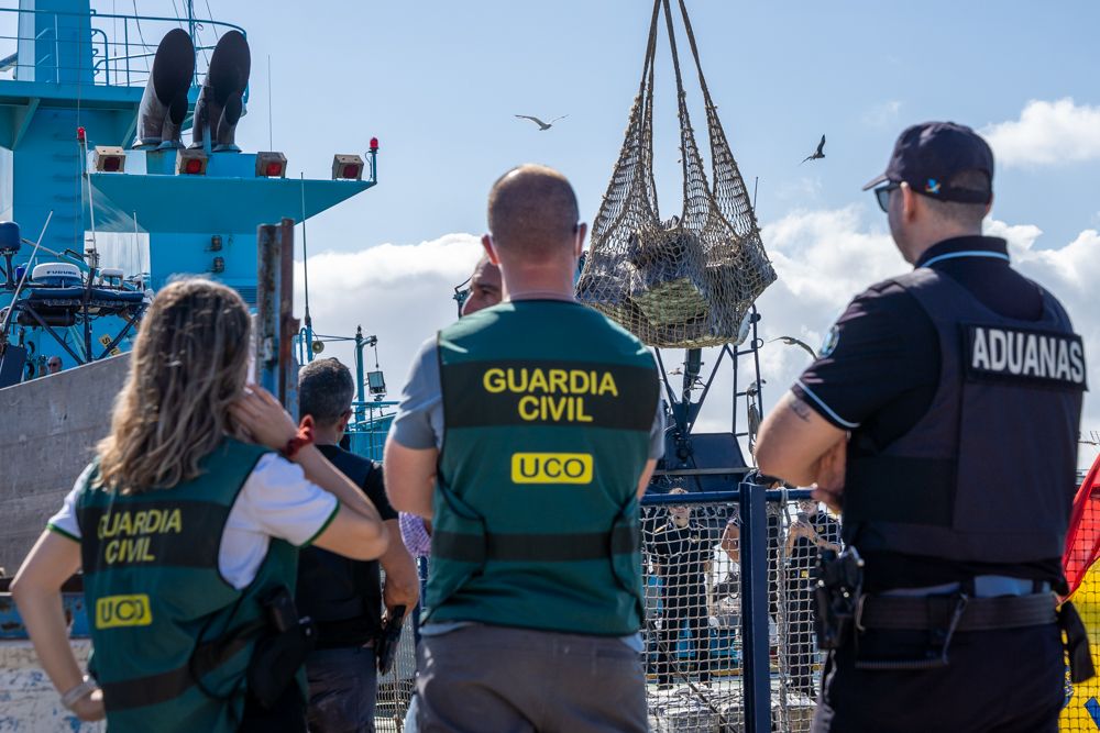 Un operativo en el Puerto de Cádiz contra el narcotráfico.
