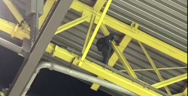 El encapuchado en el techo del estadio en el que se jugaba el Alemania-Dinamarca.