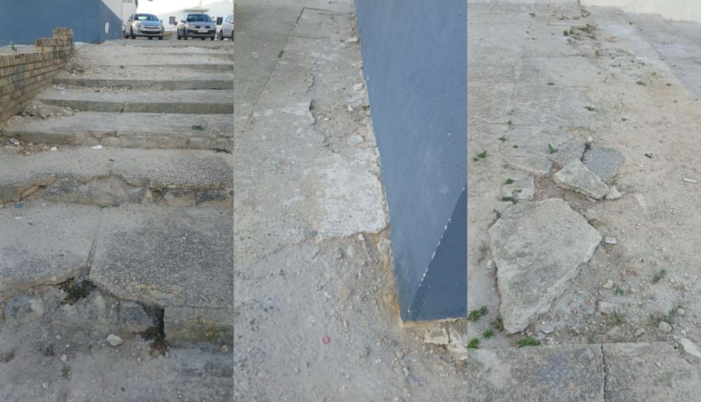 photo 5771857600084821019 y