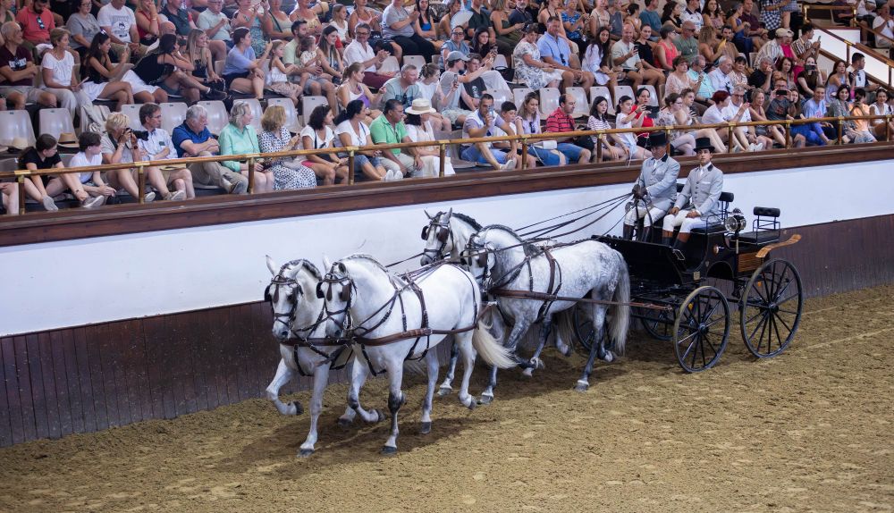 Enganche en el picadero de la Real Escuela Andaluza del Arte Ecuestre de Jerez.