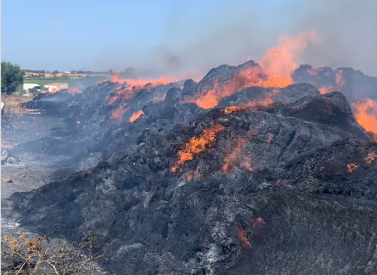 Un fotograma del vídeo compartido por los bomberos de Jerez.