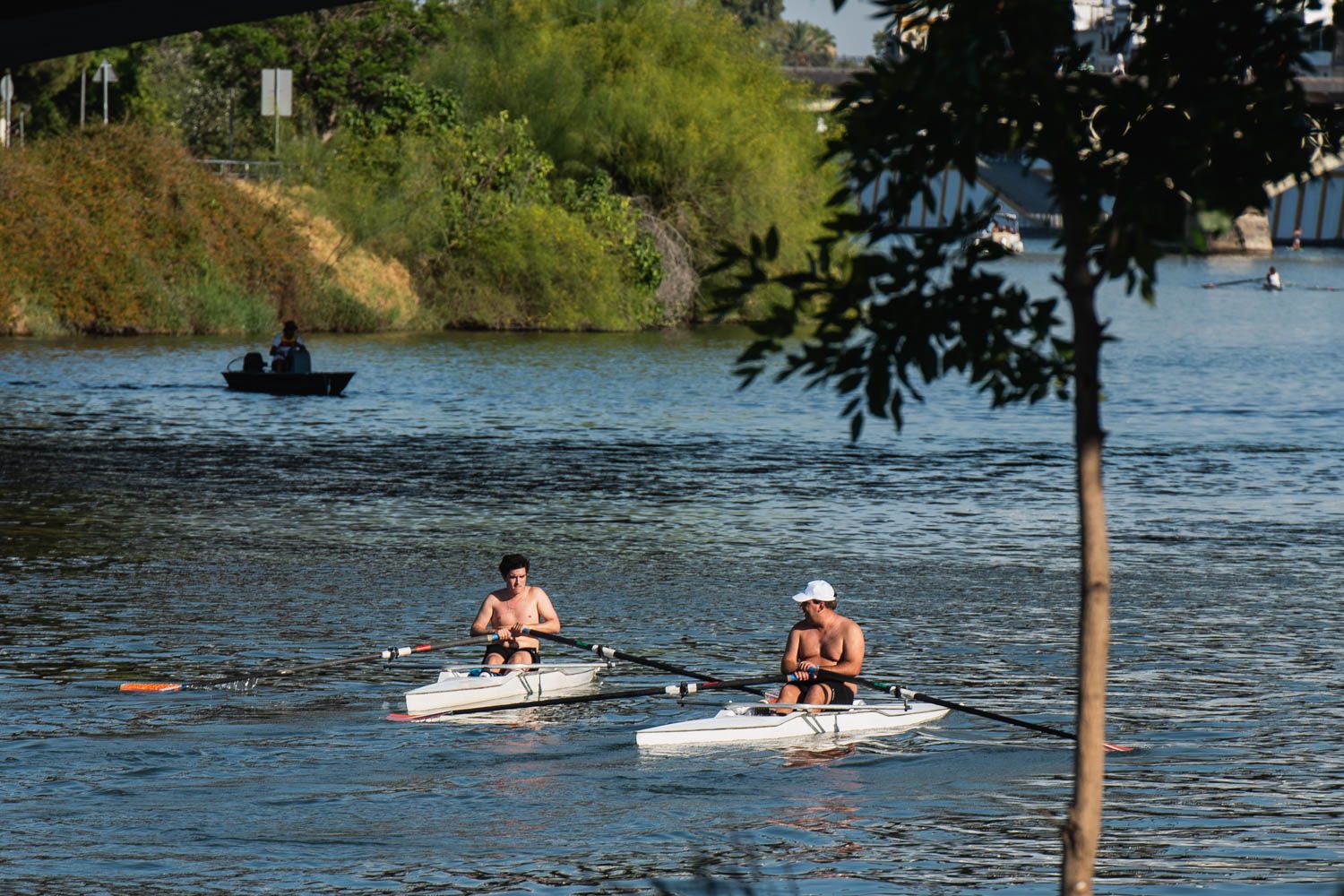 Altas temperaturas en Sevilla.