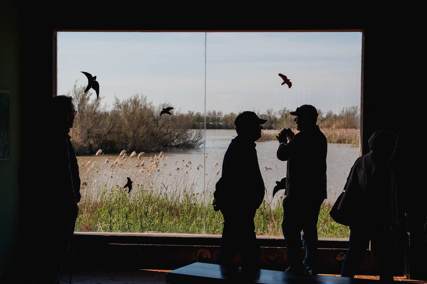 Parque Nacional de Doñana, en una imagen reciente. 